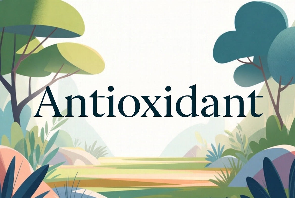 Antioxidant