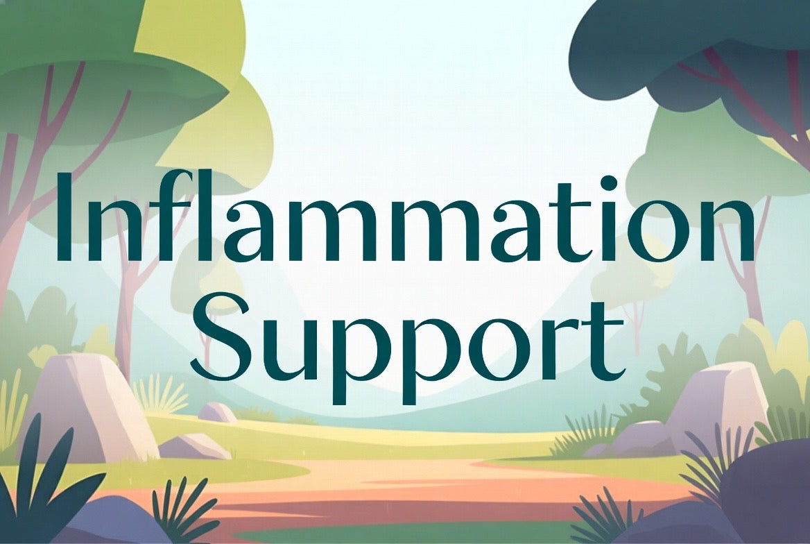 Inflammation Support