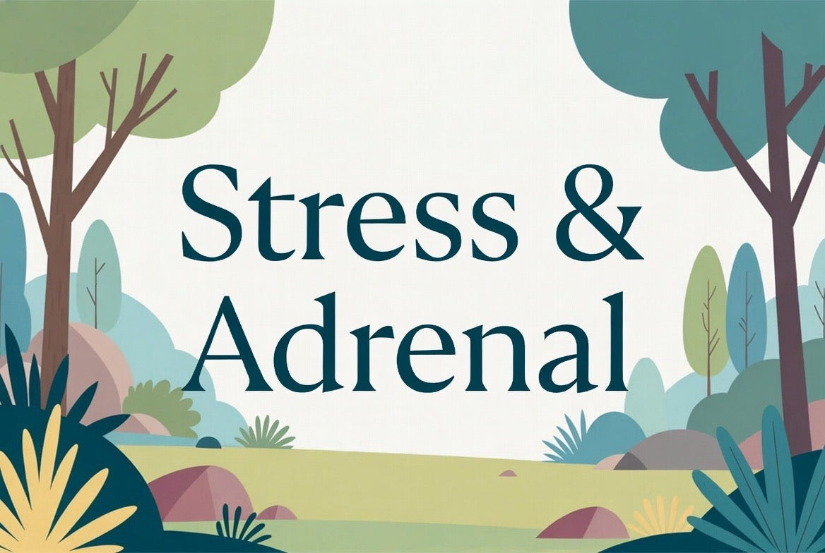Stress & Adrenal
