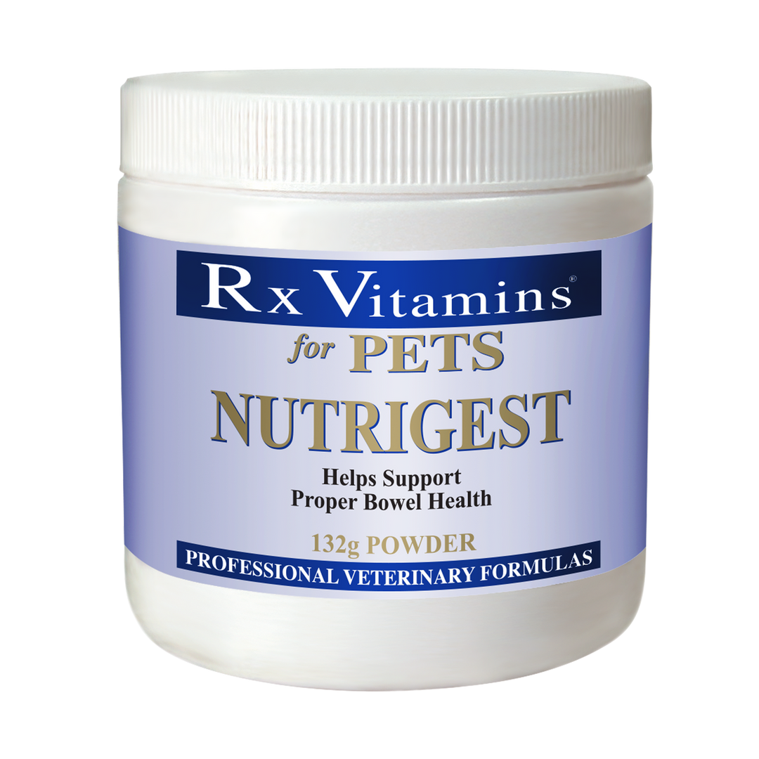 Rx Vitamins For Pets NutriGest Powder 132g for supporting proper bowel health in pets.