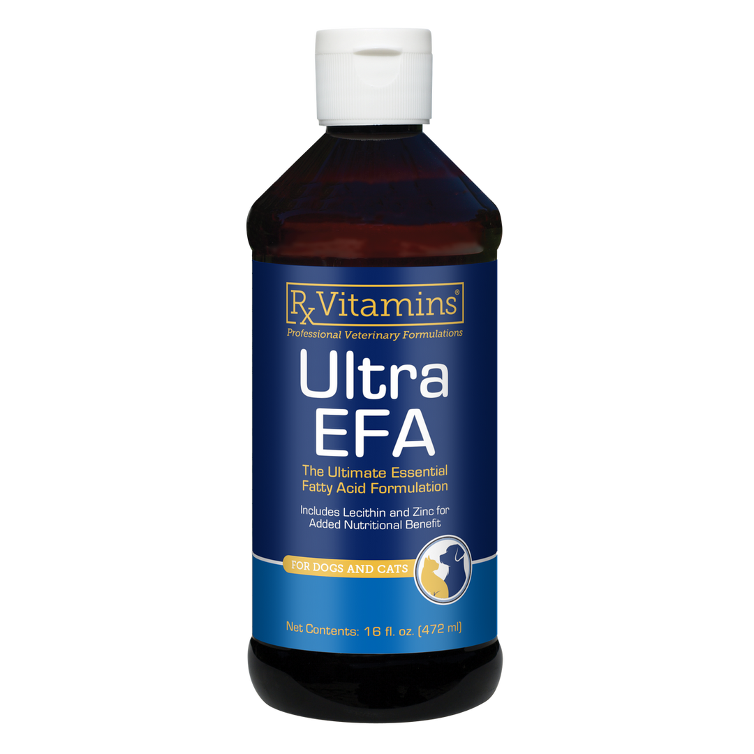 Rx Vitamins For Pets Ultra EFA Oil 16 Oz Essential Fatty Acid for Dogs and Cats bottle packaging