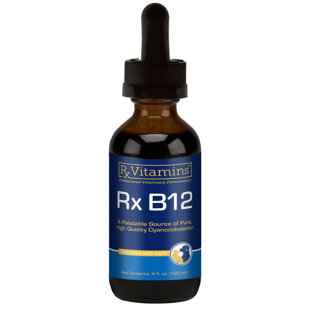 Rx Vitamins For Pets Rx B12 Liquid 4 Oz Digestive Supplement for Dogs and Cats in a 4 oz bottle.