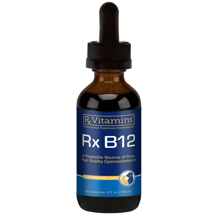 Rx Vitamins For Pets Rx B12 Liquid 4 Oz Digestive Supplement for Dogs and Cats in a 4 oz bottle.