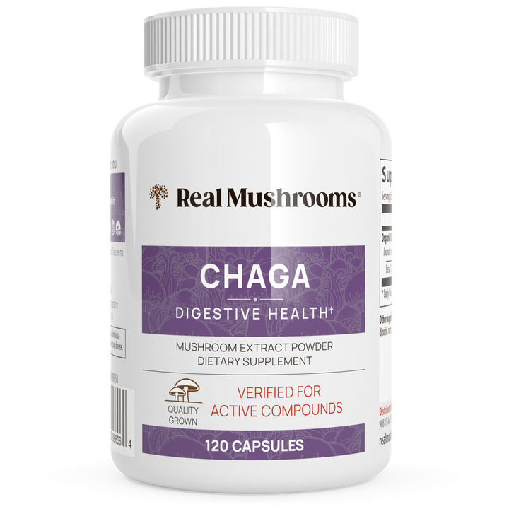 Real Mushrooms Organic Chaga Extract 120 Capsules for immune support and digestive health.