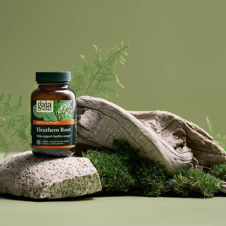 Gaia Herbs Eleuthero Root 60 Capsules on natural stones with greenery, promoting energy and stress support.