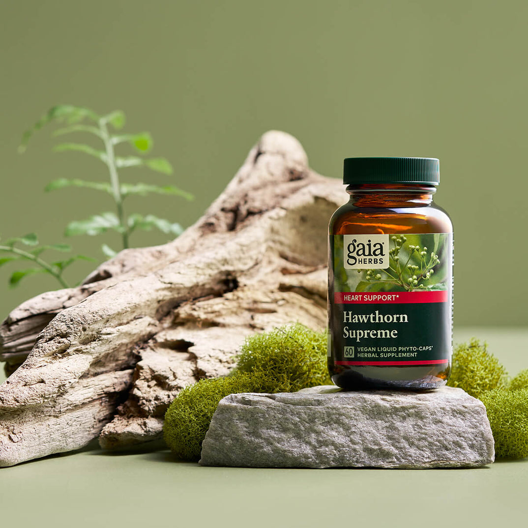 Gaia Herbs Hawthorn Supreme 60 Capsules on a natural stone with greenery, promoting heart health support.