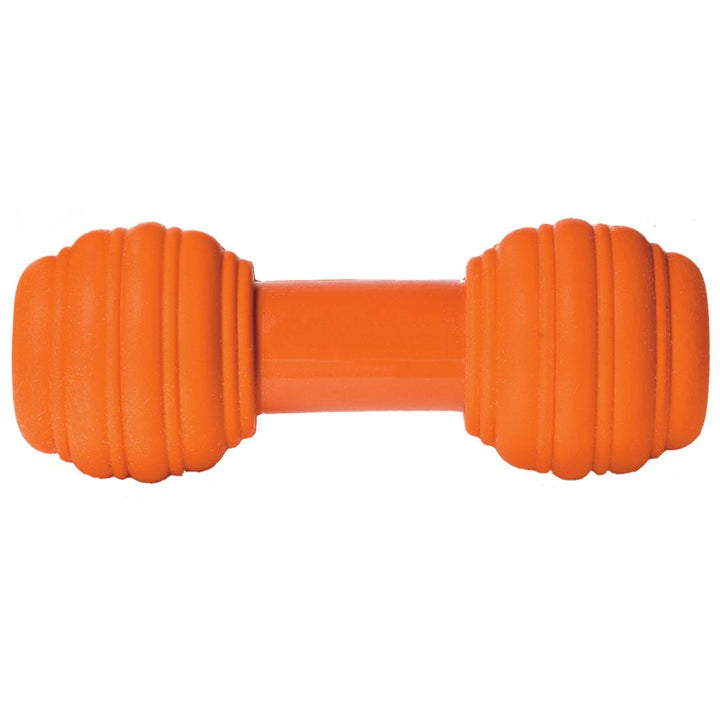 Petsafe PetSafe Sportsmen Chuckle Interactive Dog Toy with Noise Maker