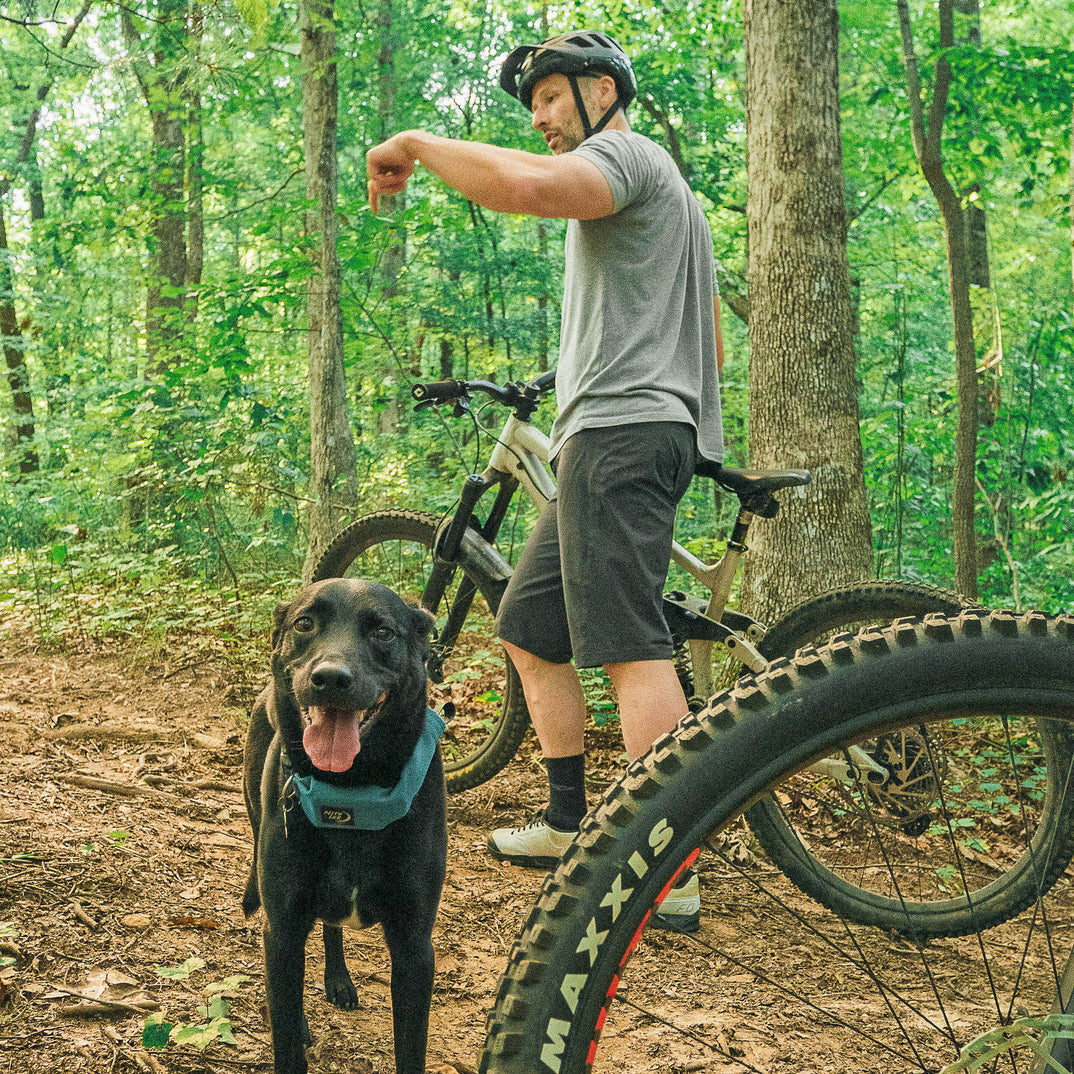 A cyclist with a helmet stands in the woods beside a black dog, ready for an outdoor adventure.