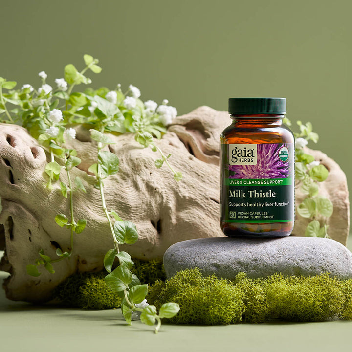 Gaia Herbs Milk Thistle 1000 120 Caps on a stone with greenery in background, promoting liver health.