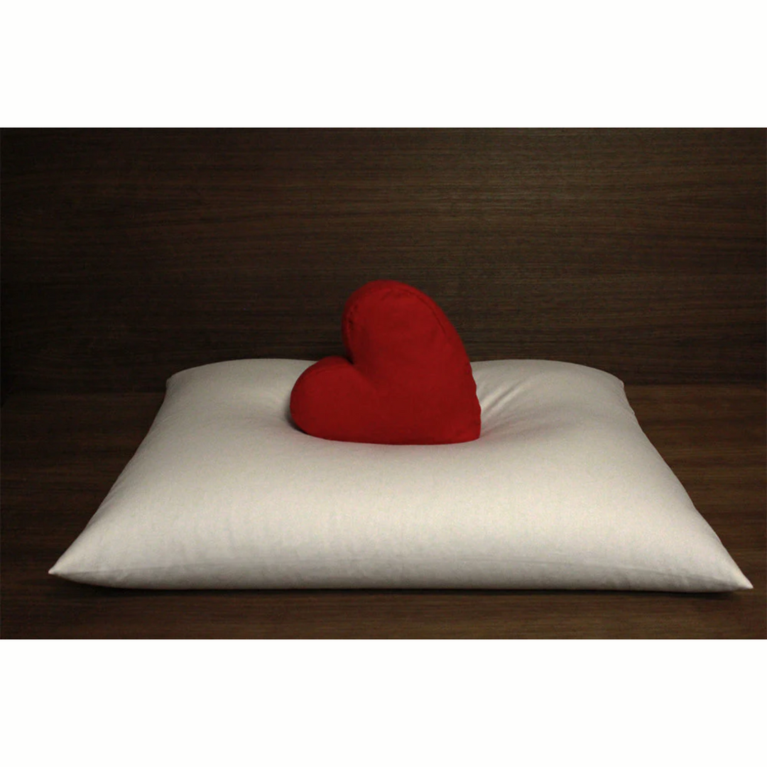 Soaring Heart Buckwheat Hull Pillows Mini With One Pillowcase 7" X 12"