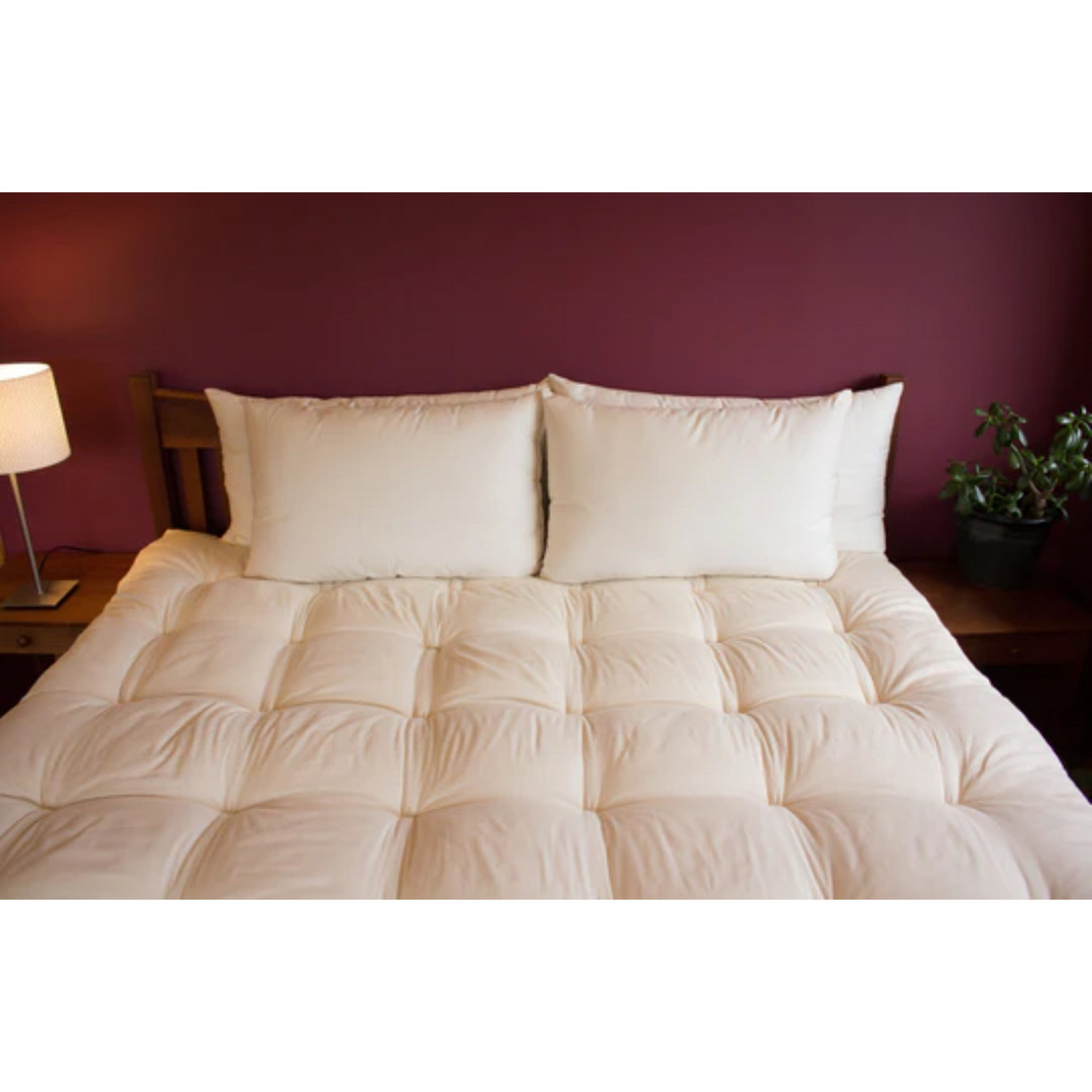 Holy Lamb Organic Wool Bed Pillows on a cozy bed with a warm lamp and plant in the background.