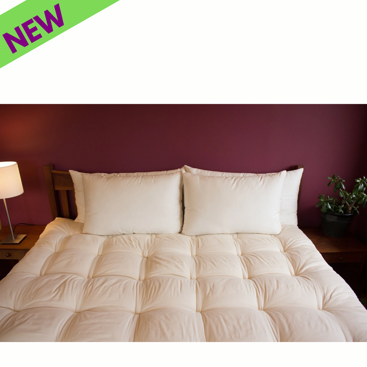 Holy Lamb Organic Wool Bed Pillows Queen Size Regular 20” x 30” on a bed with a purple wall background.