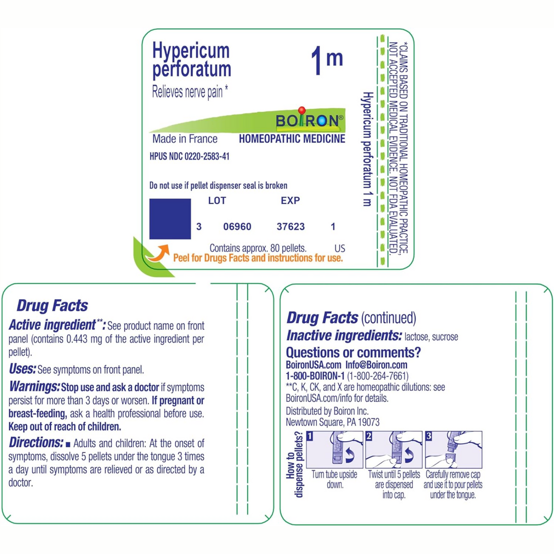 Boiron Laboratories Hypericum Perforatum 1M packaging label with drug facts and dosage instructions, supports nerve pain relief.
