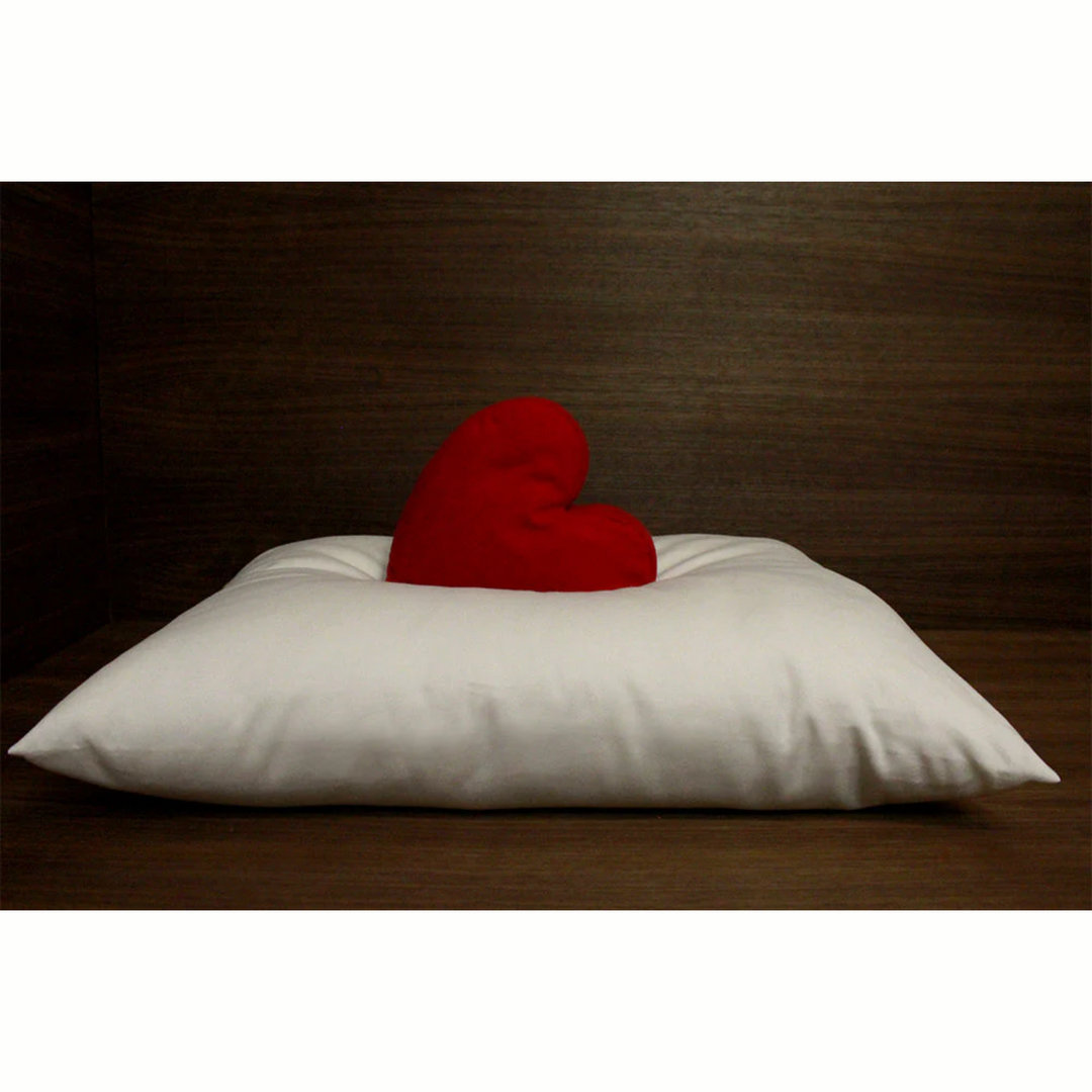 Soaring Heart Soft Organic Wool Pillows Standard Size Natural Comfort 20" x 26"