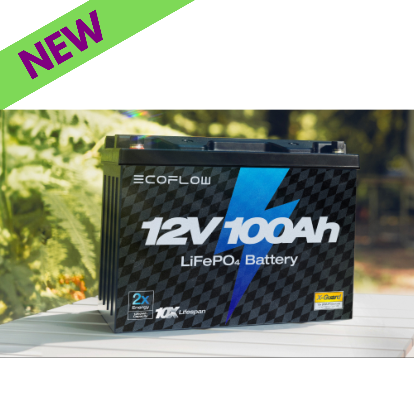EcoFlow Lithium Battery 12V 100Ah LiFePO4 Power Backup with a new label on a green background