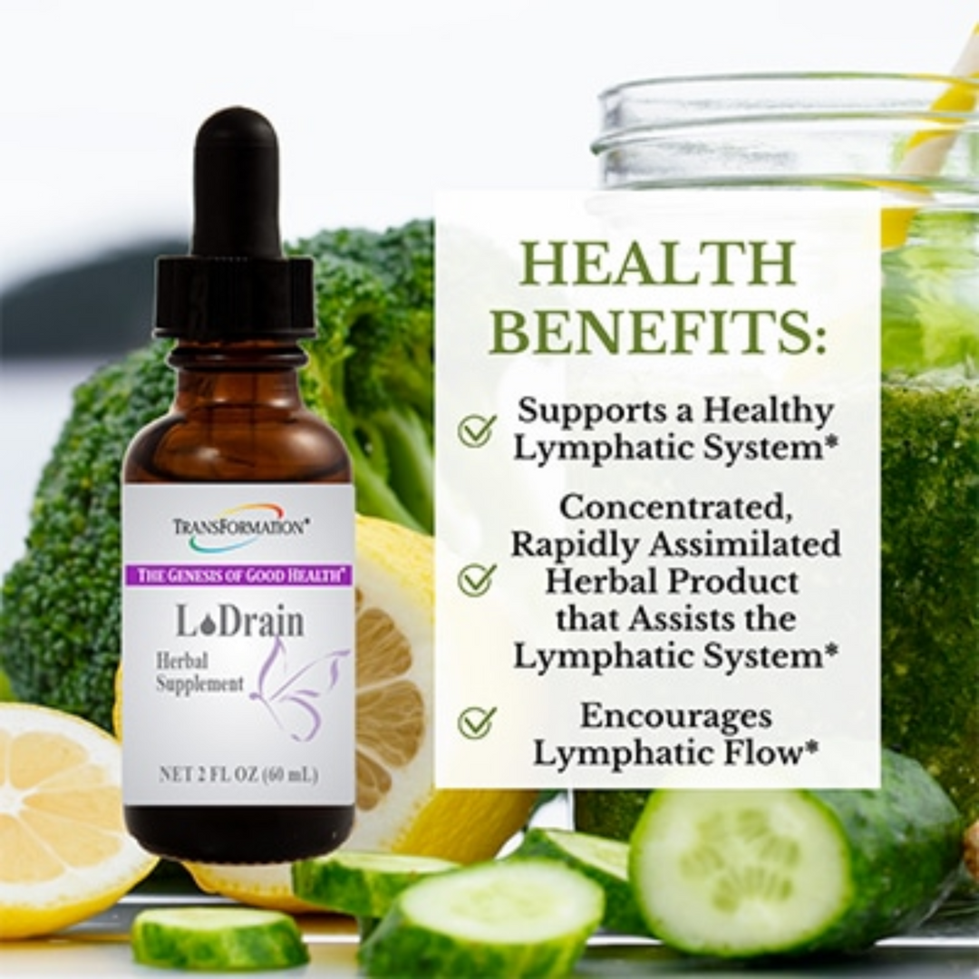 Transformation Enzymes L Drain Herbal Drops in a bottle with fresh ingredients, supporting lymphatic system health.