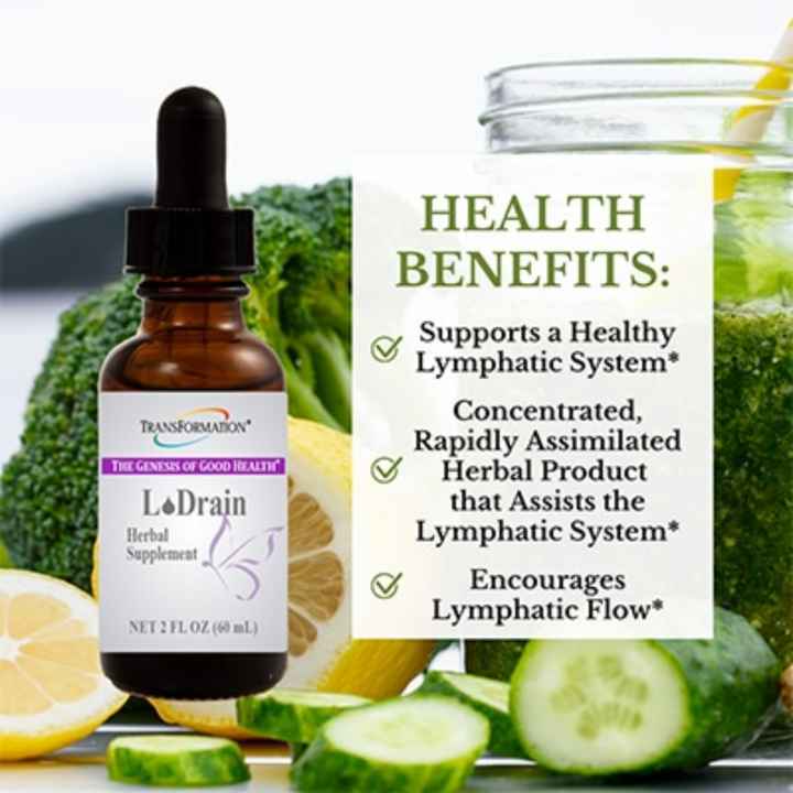 Transformation Enzymes L Drain Herbal Drops in a bottle with fresh ingredients, supporting lymphatic system health.