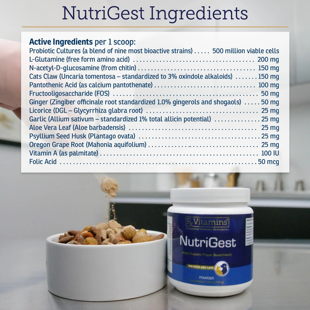 NutriGest Ingredients list from Rx Vitamins For Pets NutriGest Powder highlighting active ingredients for pets.