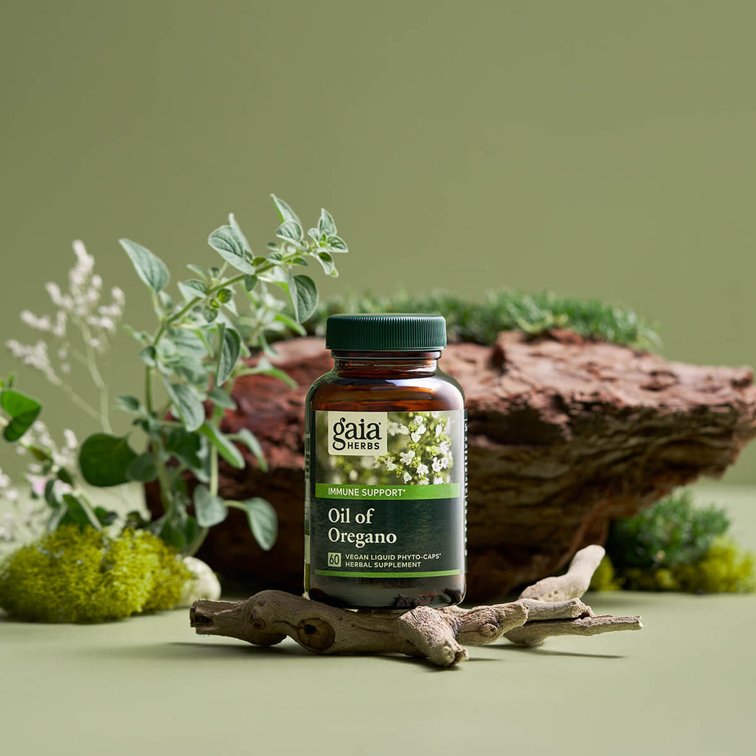 Gaia Herbs Oil of Oregano 60 Liq Phyto-Caps displayed on a natural background with herbs and moss for immune support.