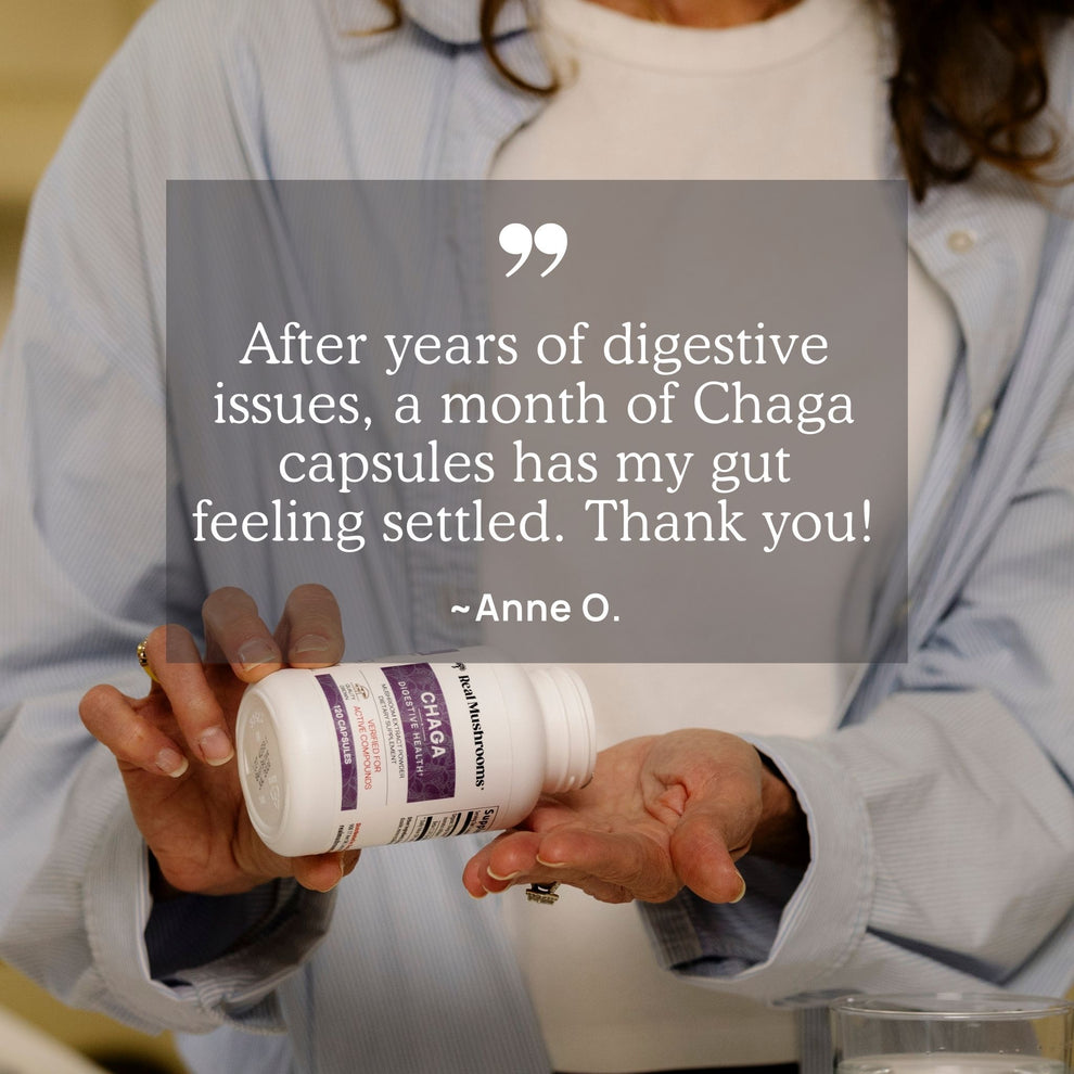 Customer testimonial on Real Mushrooms Organic Chaga extract capsules for gut health by Anne O.