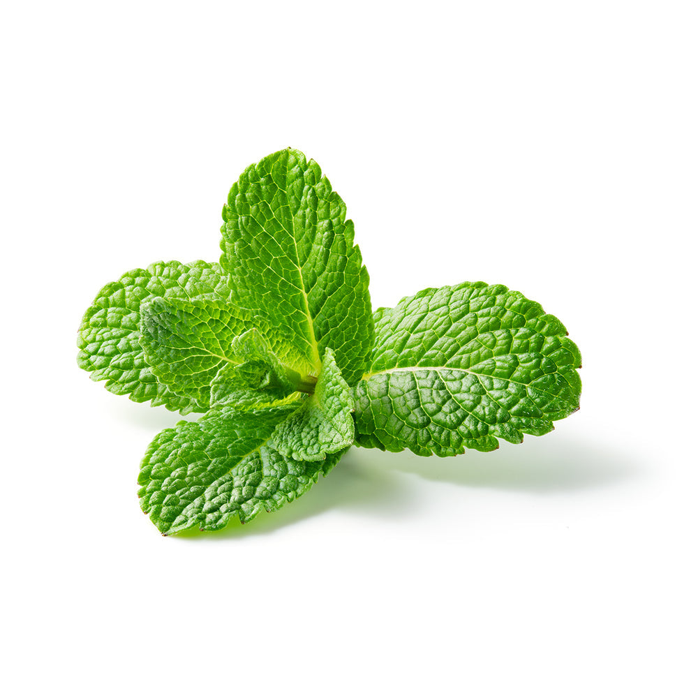 Fresh mint leaves used in Essential Oxygen Organic Low Abrasion Toothpaste for a refreshing taste.