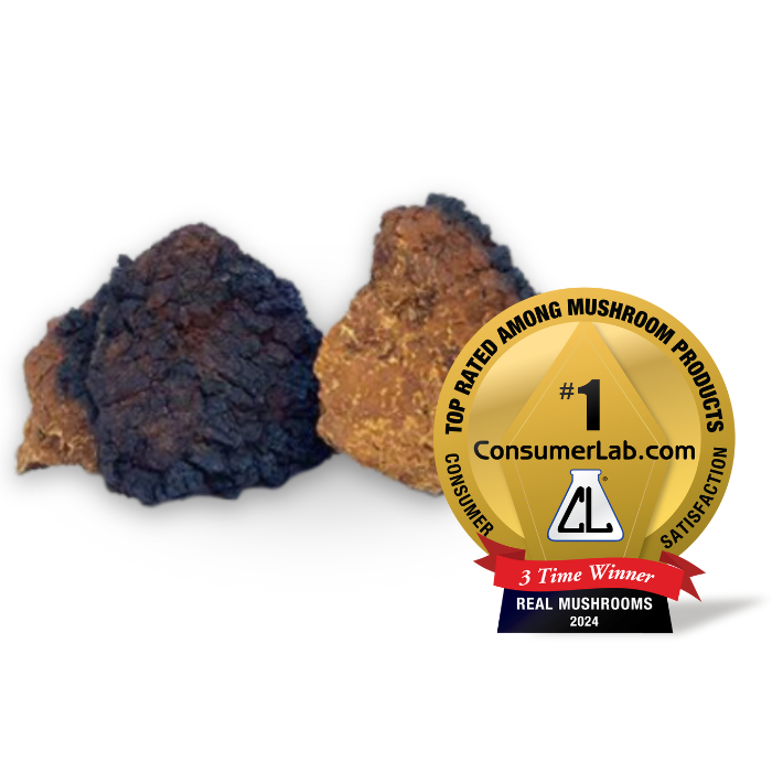 Real Mushrooms Chaga Extract showcasing wild harvested Chaga pieces with a top rated satisfaction award for 2024.