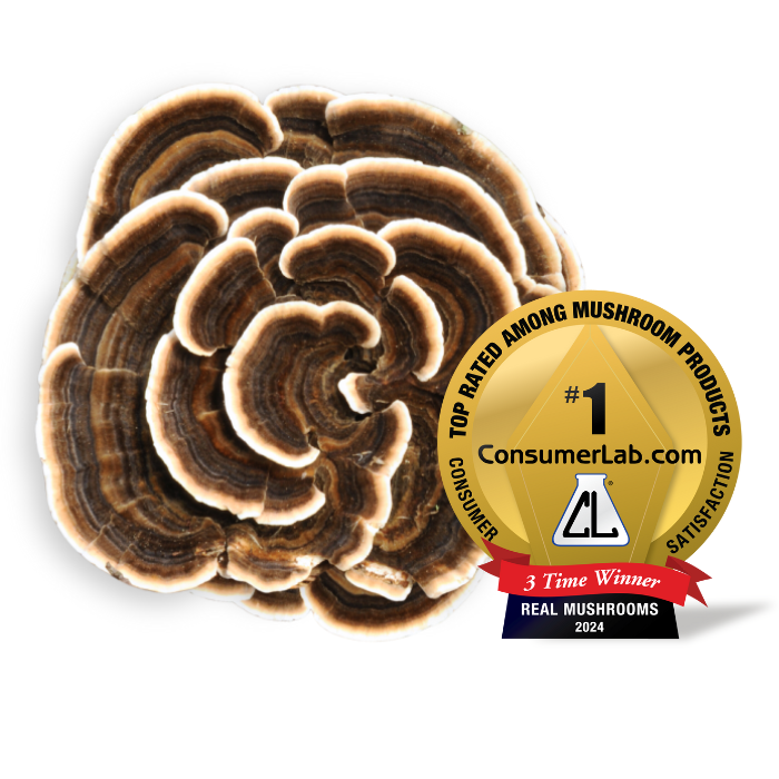 Real Mushrooms Turkey Tail extract powder with 