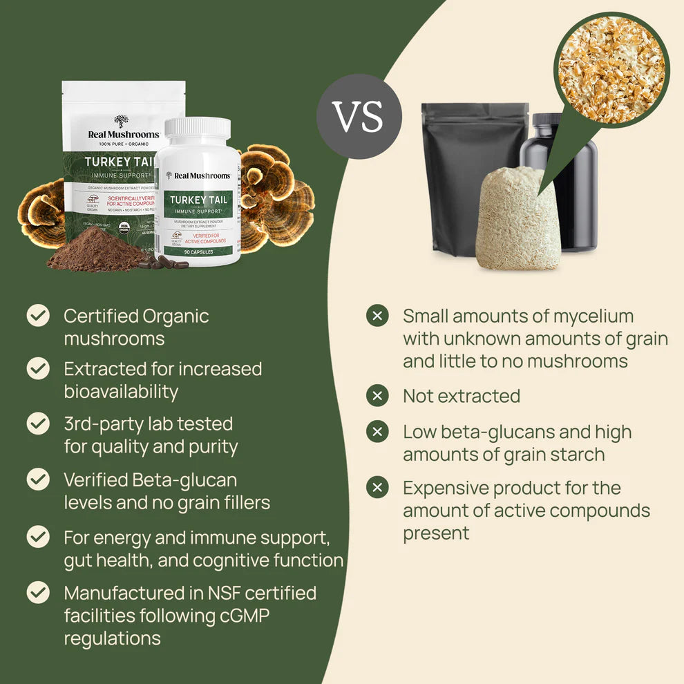 Real Mushrooms Turkey Tail comparison infographic highlighting benefits of certified organic mushrooms.