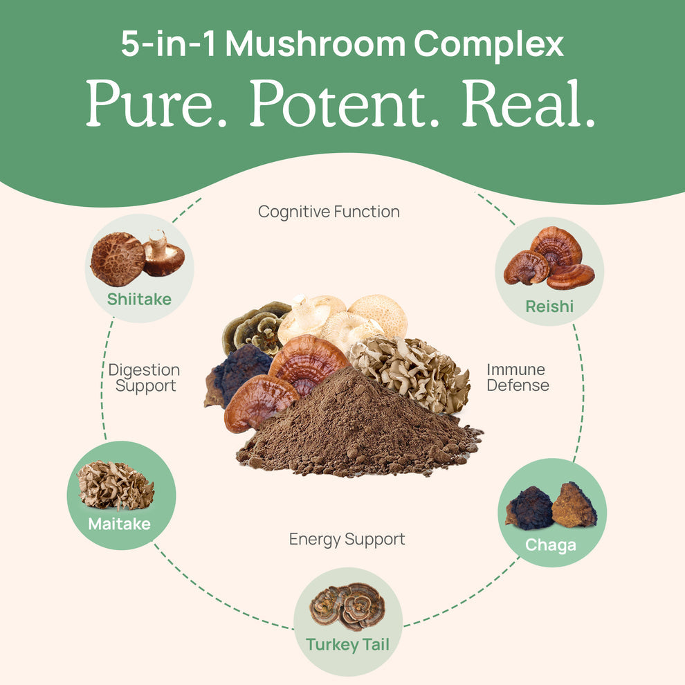 5-in-1 Mushroom Complex with Shiitake, Reishi, Maitake, Chaga, and Turkey Tail for cognitive function and immune defense.