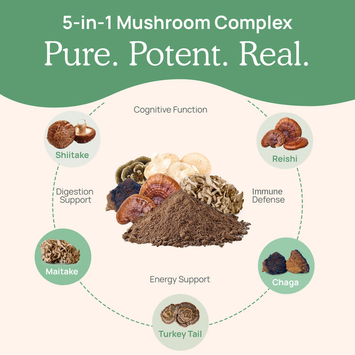 5-in-1 Mushroom Complex with Shiitake, Reishi, Maitake, Chaga, and Turkey Tail for cognitive function and immune defense.