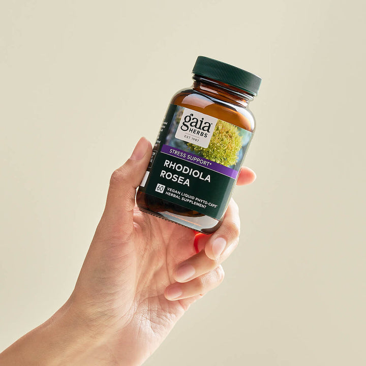 Gaia Herbs Rhodiola Rosea 60 Vegan Liquid Phyto Caps in hand for stress support display.