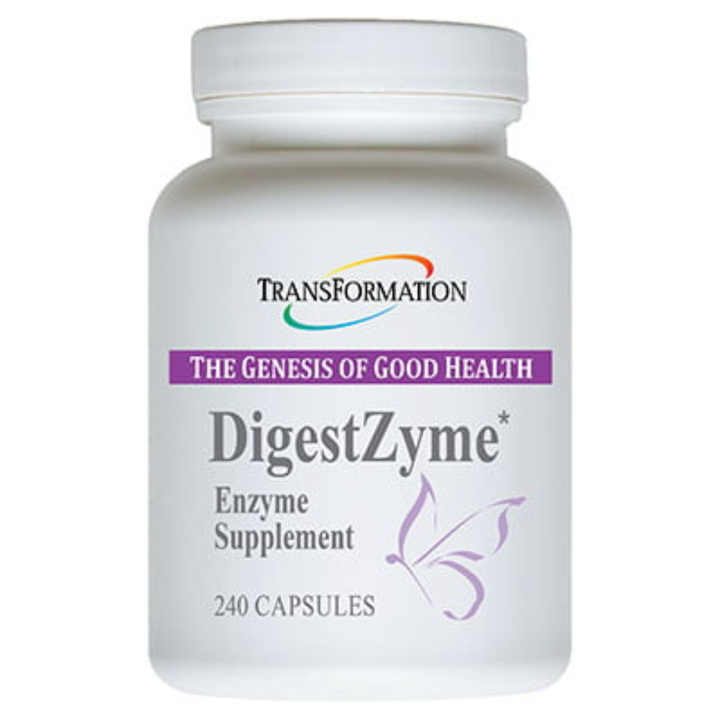 Transformation Enzymes DigestZyme