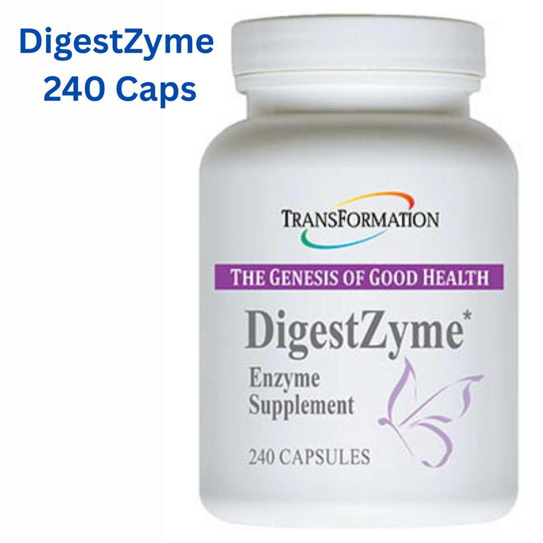 Transformation Enzymes DigestZyme 240 Caps enzyme supplement for digestion and energy support