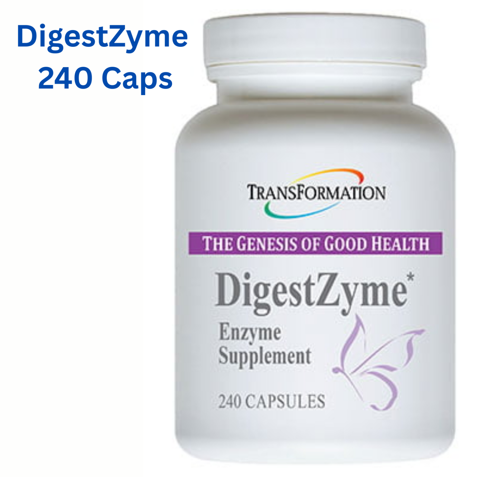 Transformation Enzymes DigestZyme 240 Caps enzyme supplement for digestion and energy support