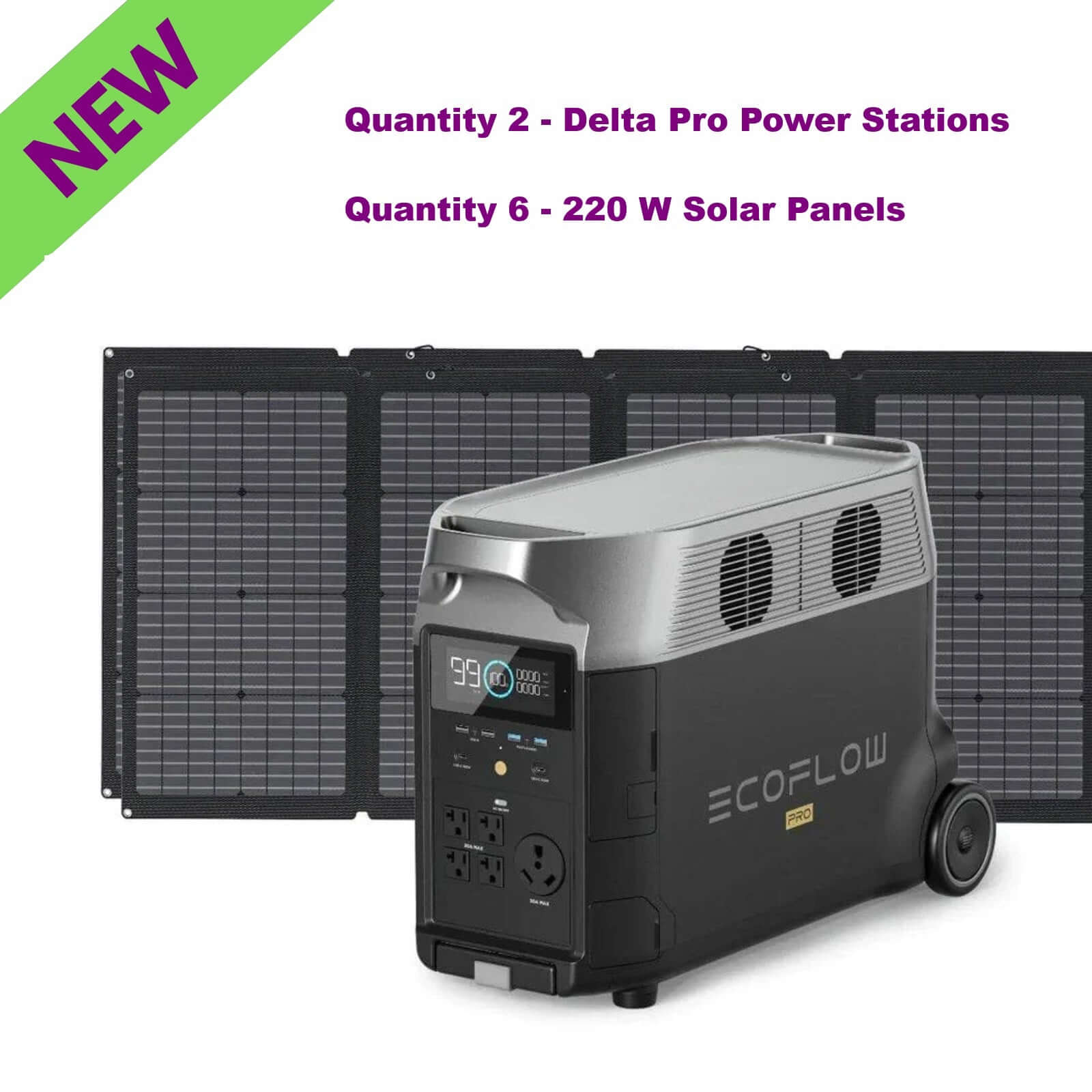 EcoFlow Qty 2 DELTA Pro Power Station With Qty 6 220W Solar Panels showcasing new, efficient energy solutions.