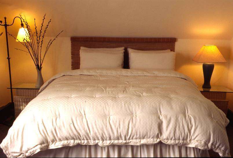 Holy Lamb Organics Comforter on a neatly made bed in a cozy bedroom setting with ambient lighting.